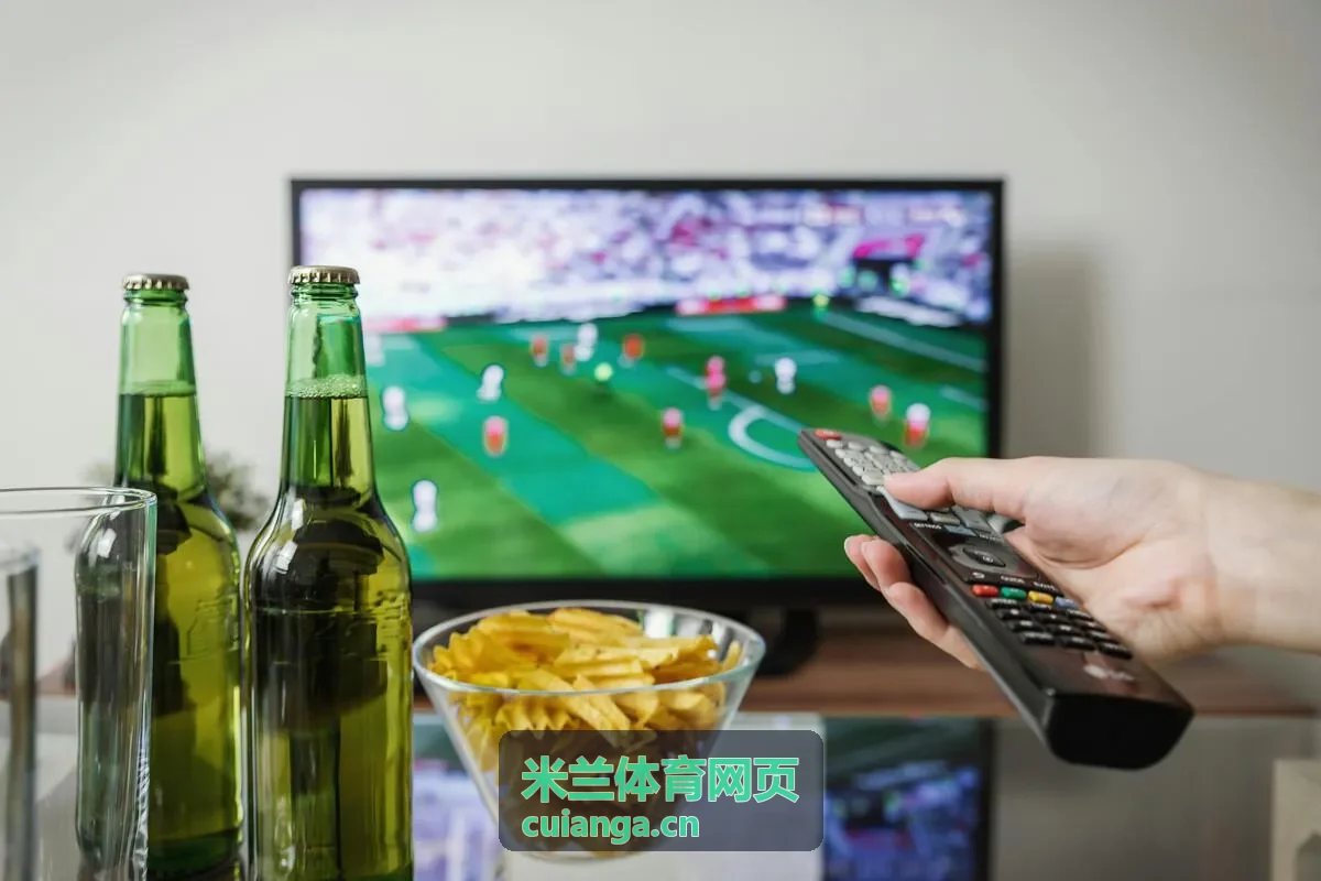 米兰体育网页综合体育场馆看台与场地全景